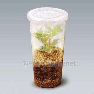 투명한플라스틱컵(720ml)24온스/투명컵